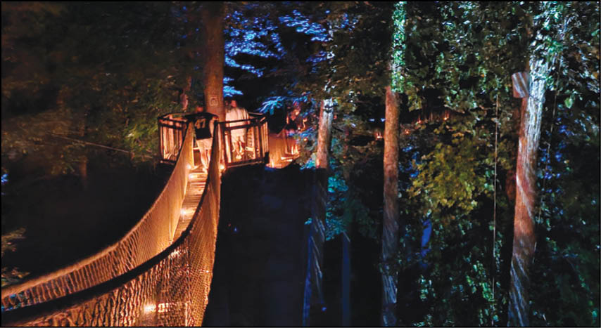 A rope suspension bridge illuminated by warm lights stretches through a dense forest at night. Description generated by AI