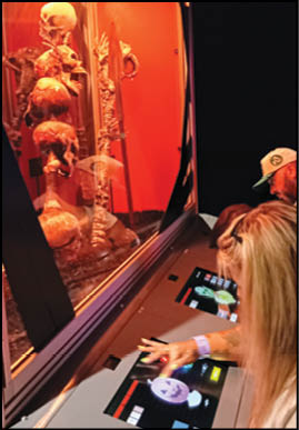 Two people interact with touchscreen displays in a dimly lit exhibit featuring skeletal remains behind glass. Description generated by AI