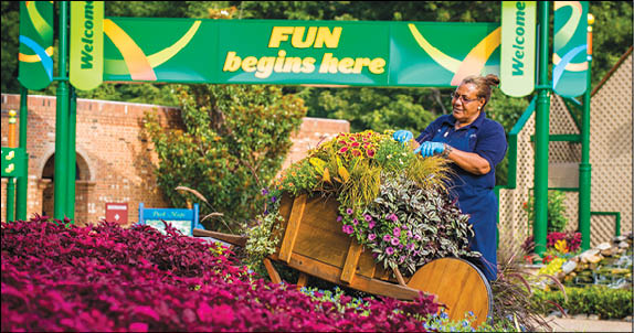 Since 1990, the National Amusement Park Historical Association (NAPHA) has voted Busch Gardens  Williamsburg the  Most Beautiful Park  in the world  The landscaping staff spends many hours each day pruning, planting and weeding   2015 SeaWorld Parks & Entertainment, Inc  All Rights Reserved 