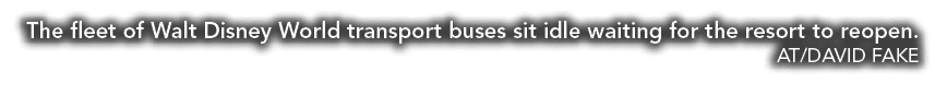 The fleet of Walt Disney World transport buses sit idle waiting for the resort to reopen  AT DAVID FAKE