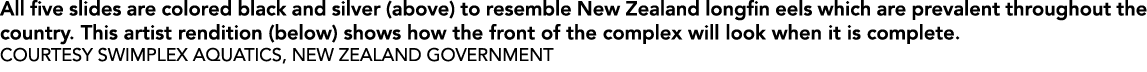 All five slides are colored black and silver (above) to resemble New Zealand longfin eels which are prevalent through   
