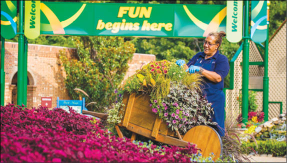 Since 1990, the National Amusement Park Historical Association (NAPHA) has voted Busch Gardens  Williamsburg the  Most Beautiful Park  in the world  The landscaping staff spends many hours each day pruning, planting and weeding   2015 SeaWorld Parks & Entertainment, Inc  All Rights Reserved 