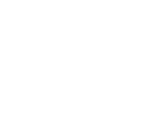 After dark, a new dimension of the attraction comes to life when the canopy lights sync to the passing coaster trains...