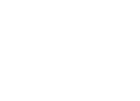 The Orlando show by Sky Elements utilized 1,600 drones. COURTESY SKY ELEMENTS