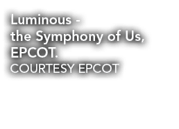 Luminous the Symphony of Us, EPCOT. COURTESY EPCOT