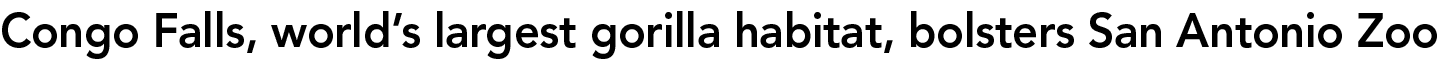 Congo Falls, world’s largest gorilla habitat, bolsters San Antonio Zoo
