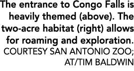 The entrance to Congo Falls is heavily themed (above). The two acre habitat (right) allows for roaming and exploratio...
