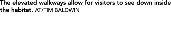 The elevated walkways allow for visitors to see down inside the habitat. AT/TIM BALDWIN 