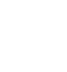 Owing to the ride's uniqueness, it's debut appearance required five days of setup. However, Wood Entertainment is con...