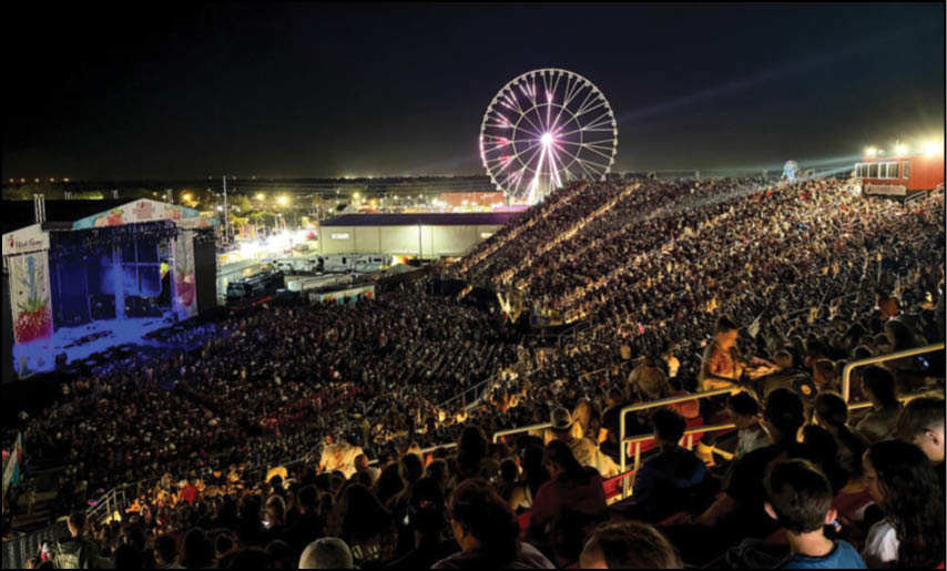 A large crowd of people are watching a show at a stadium. Description generated by AI
