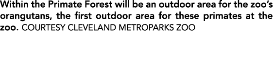 Within the Primate Forest will be an outdoor area for the zoo’s orangutans, the first outdoor area for these primates...