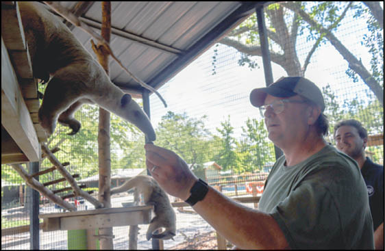 A man is feeding a small animal. Description generated by AI