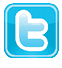 A stylized white lowercase “t" on a blue rounded square background representing the Twitter logo. Description generated by AI