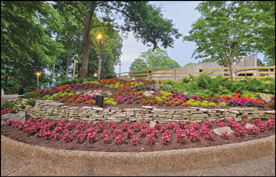 A landscaped garden bed with colorful flowers arranged in rows on a stone retaining wall surrounded by trees and lampposts in a park setting. Description generated by AI