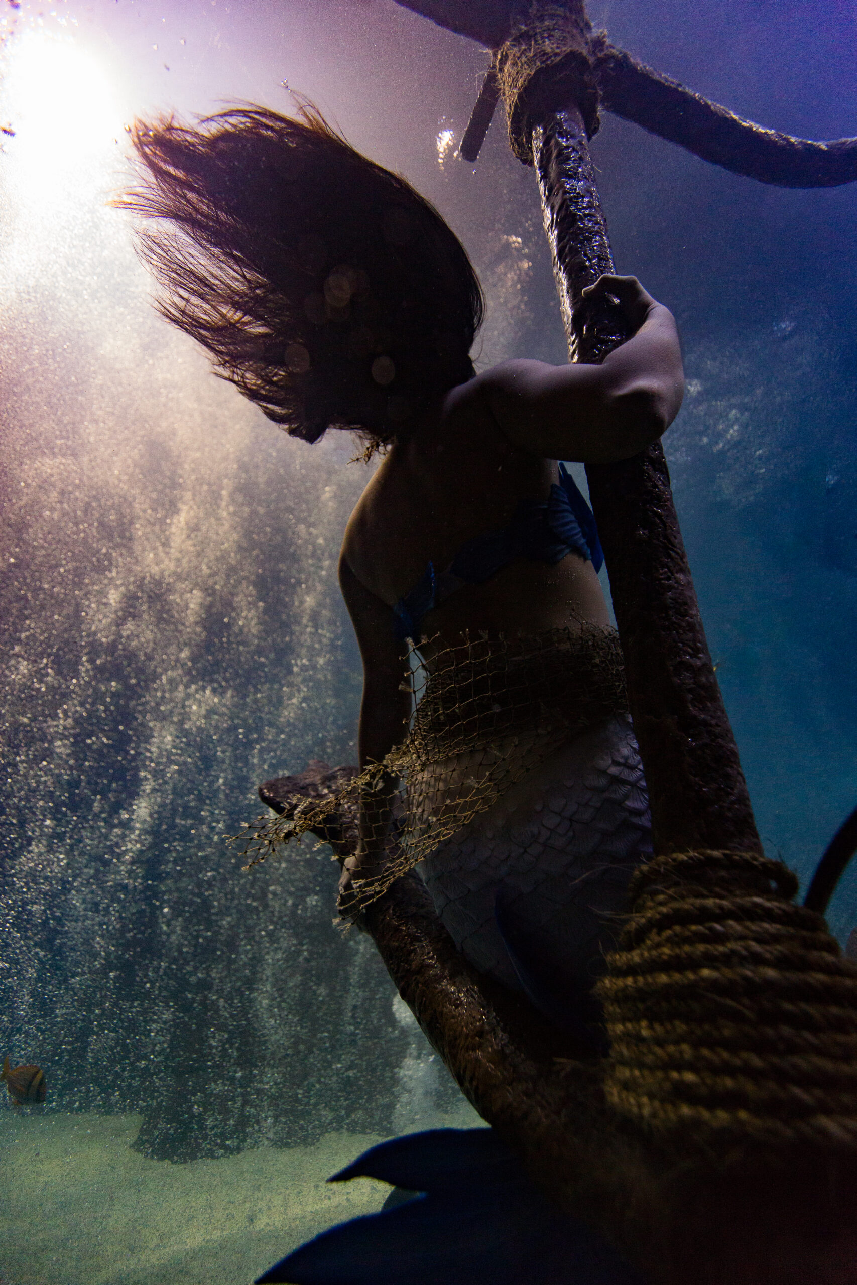 Adventure Aquarium hosts mermaids and invites visitors to an underwater