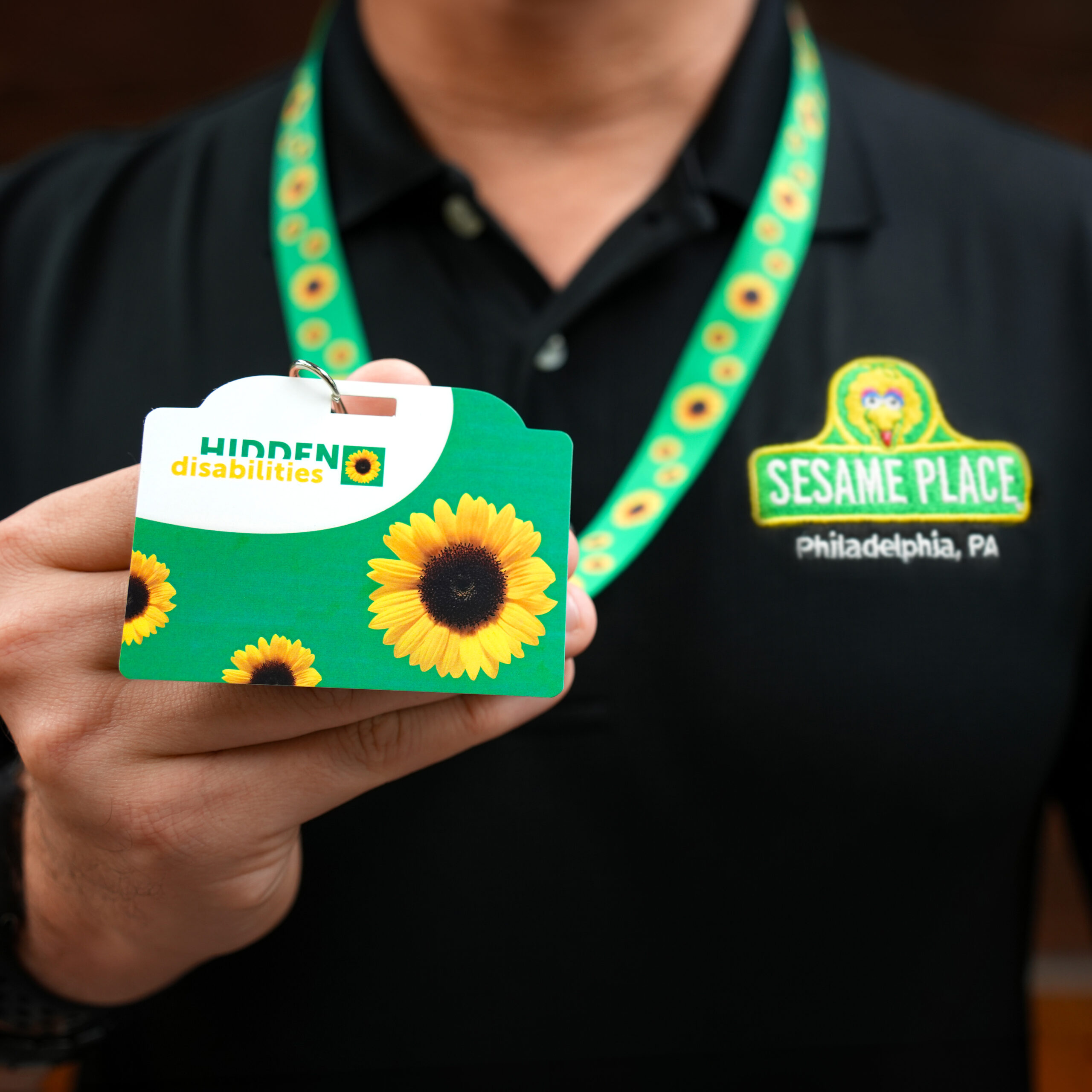 The Sunflower at Sesame Place