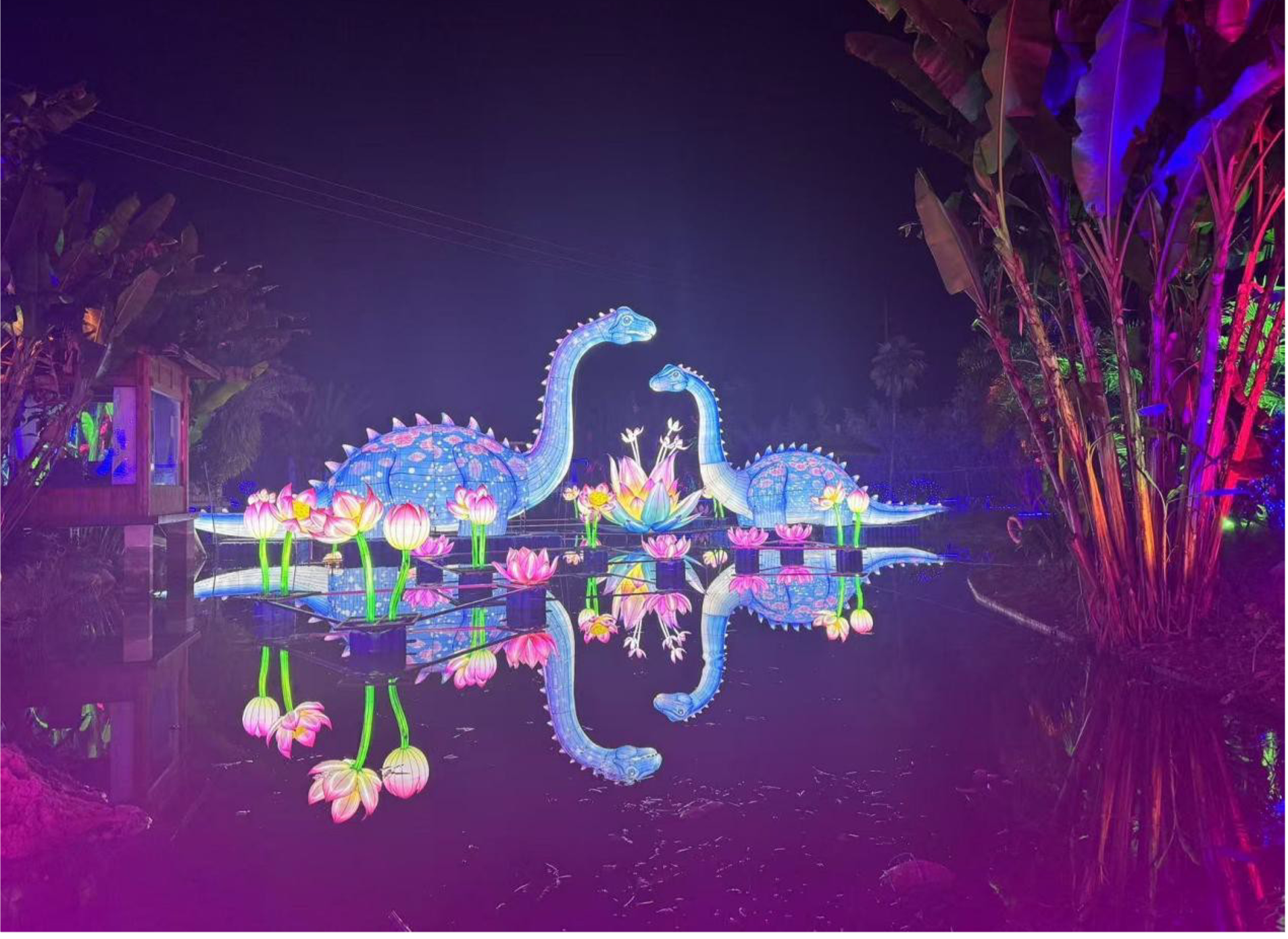 PictureDino