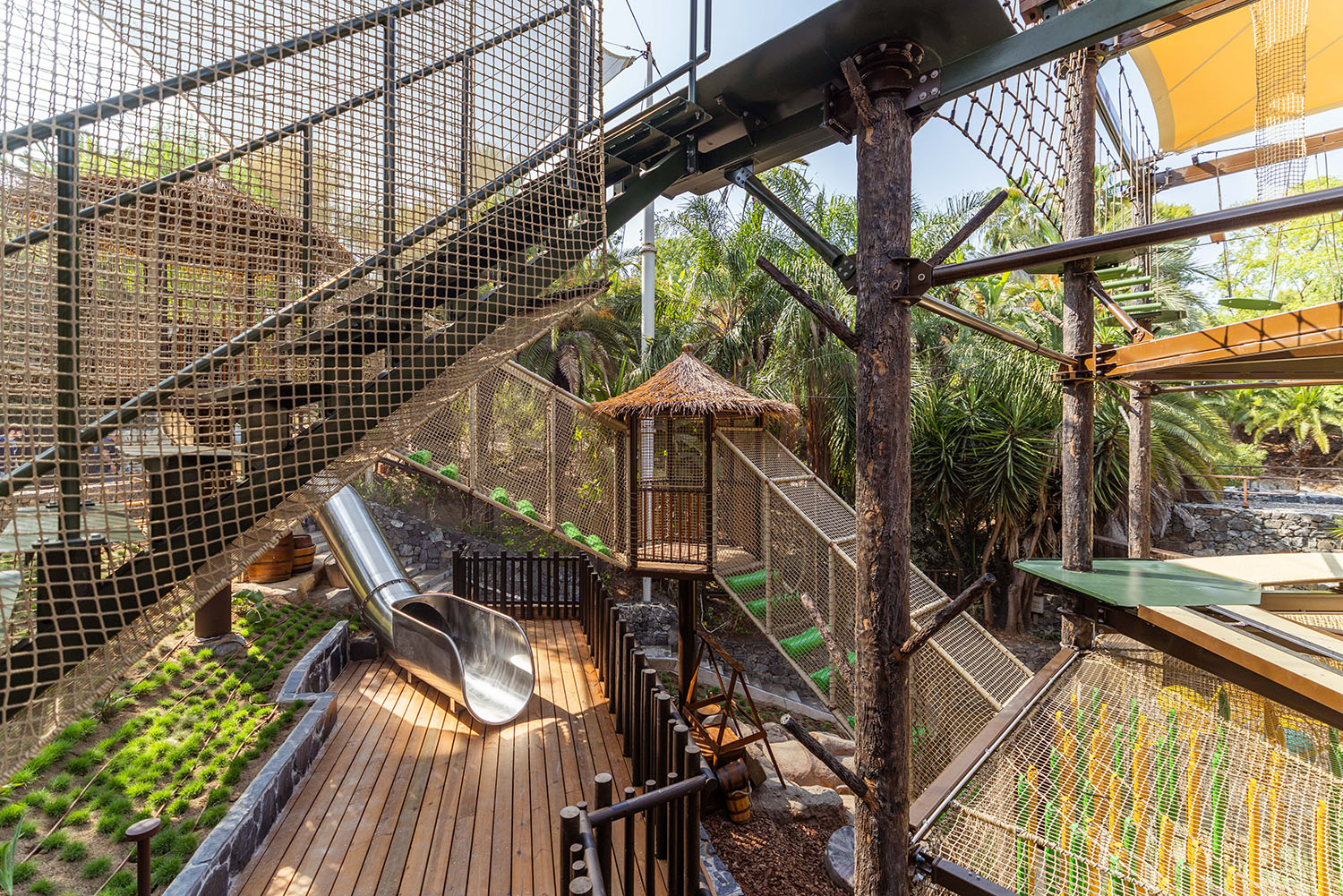 Makamanu Jungle 2