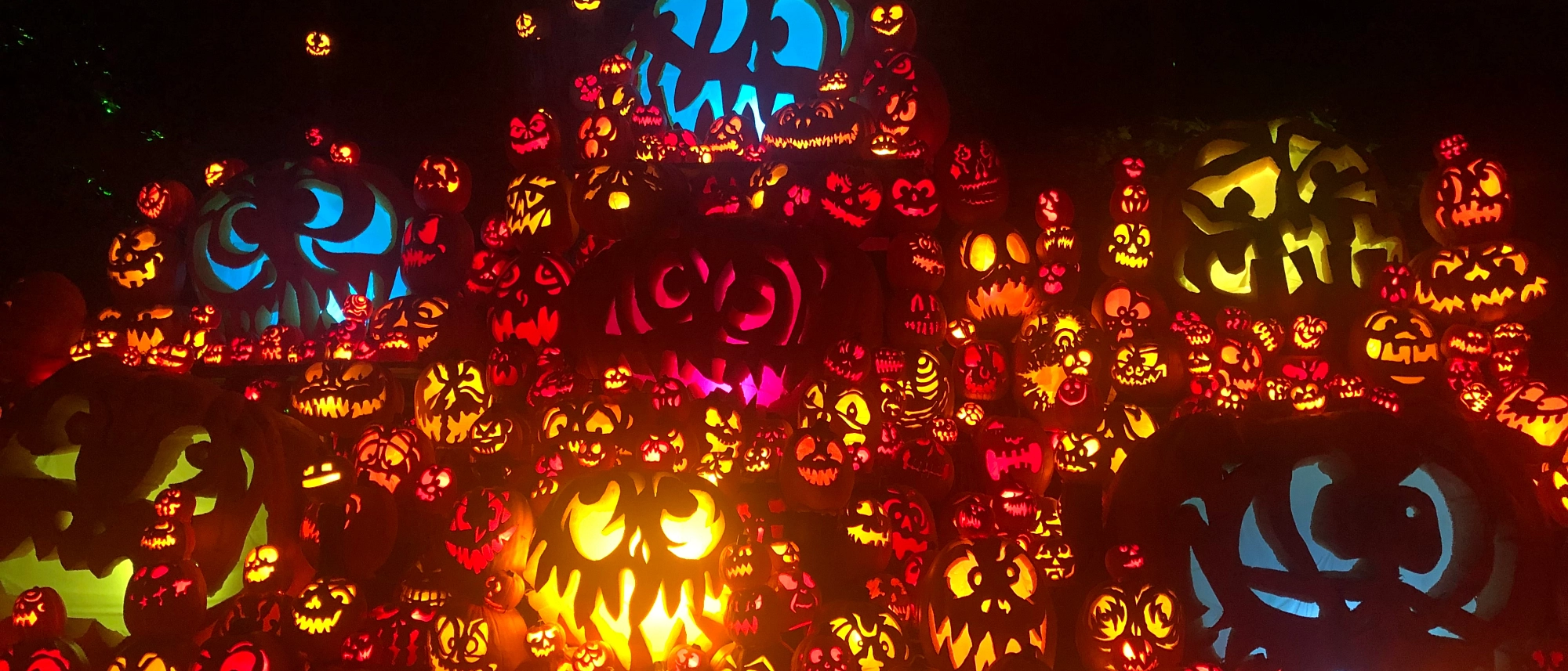 Photo Oct 21 2019, 10 55 06 PM