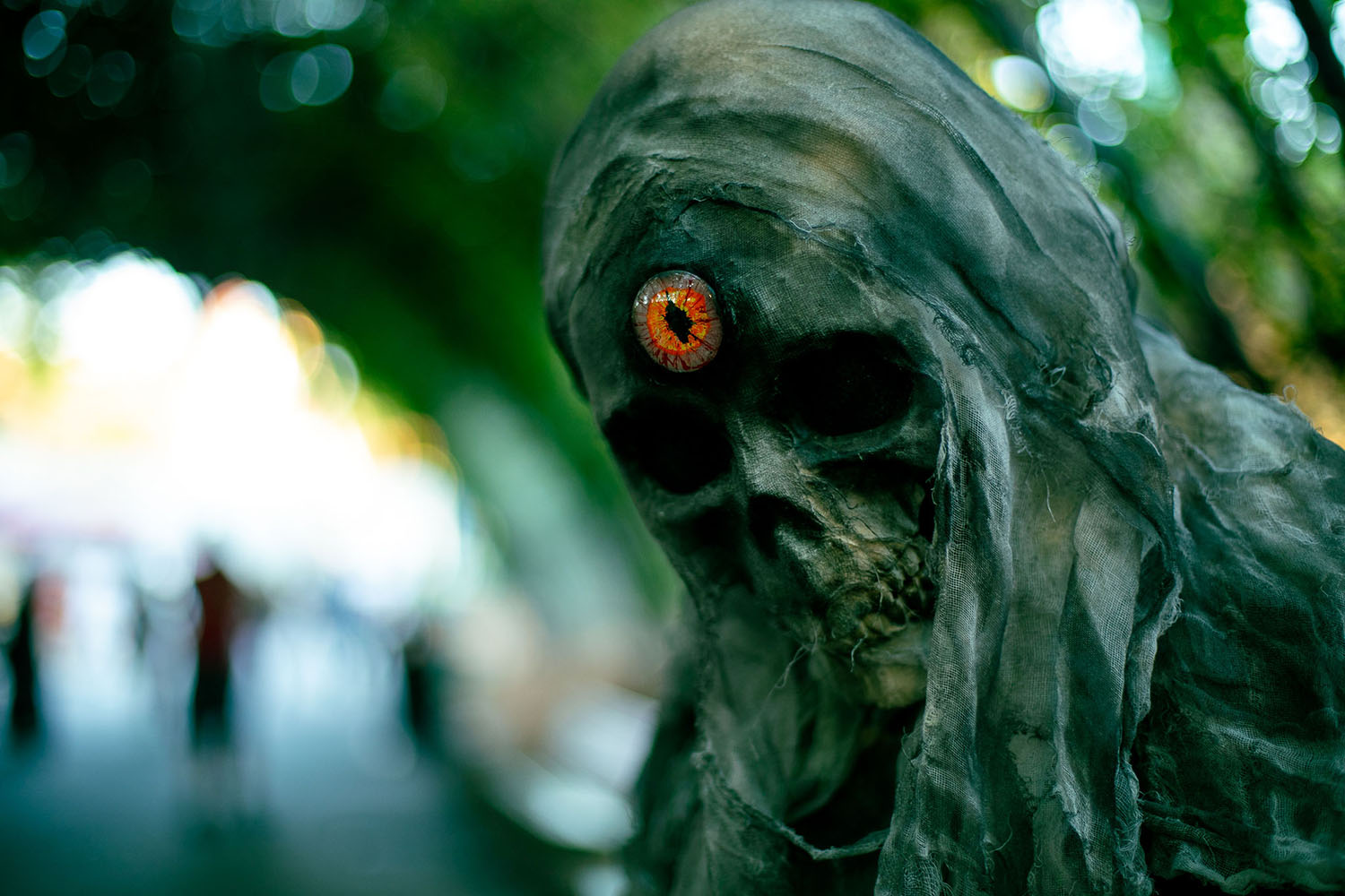 Fright Fest - Scare Actor