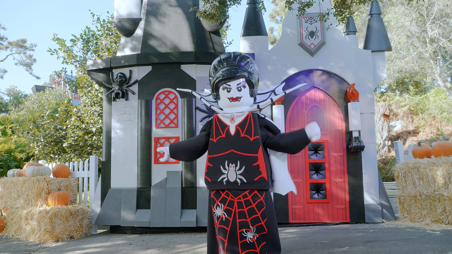 BOT Street Spider Lady 2